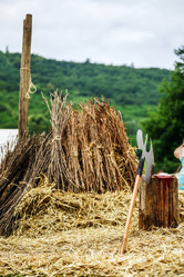 Similar image 10464430