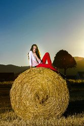 Similar image 10464467