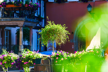 Similar image 10464476