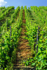 Similar image 10464547