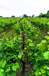 Similar image 10464550