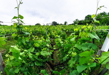 Similar image 10464552