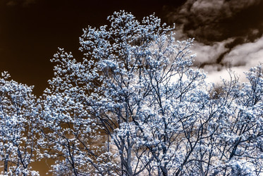 Similar image 10464593