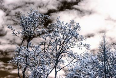 Similar image 10464601