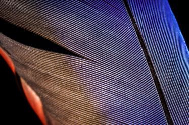 Similar image 10464603