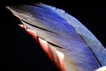 Similar image 10464605