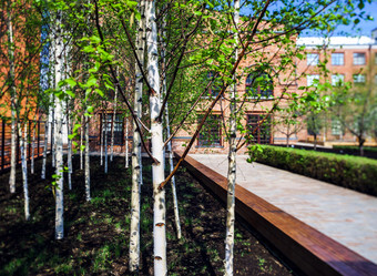 Similar image 10464611