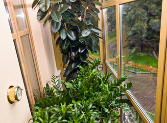 Similar image 10464774