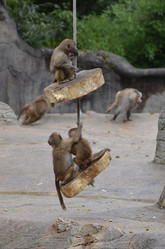 Similar image 10465450