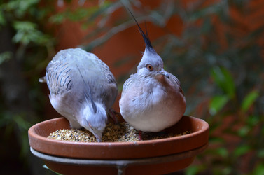 Similar image 10465451