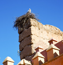 Similar image 10465482