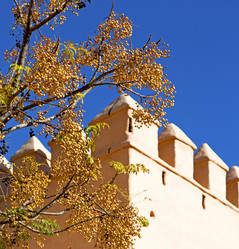 Similar image 10465484