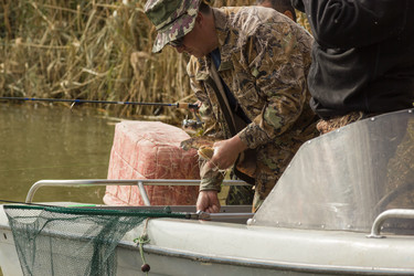 Similar image 10465518