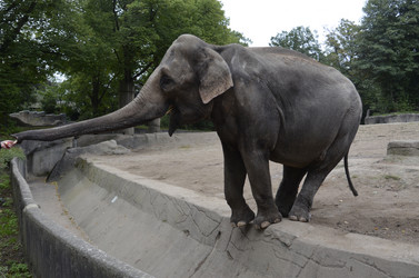 Similar image 10465532