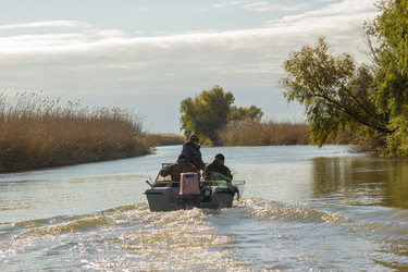 Similar image 10465537