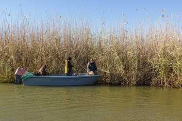 Similar image 10465545