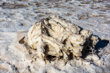 Similar image 10465562