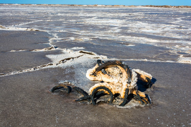 Similar image 10465564