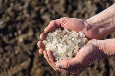 Similar image 10465589