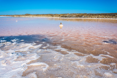 Similar image 10465597