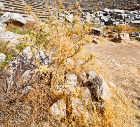 Similar image 10465618