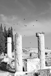 Similar image 10465636