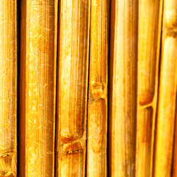 Similar image 10465650