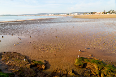 Similar image 10465652