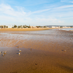 Similar image 10465656