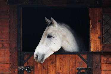 Similar image 10466571