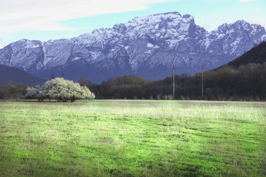 Similar image 10466572