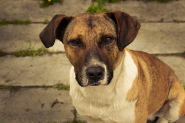 Similar image 10466573