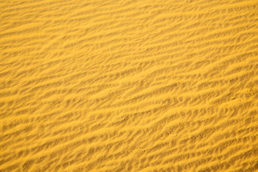 Similar image 10466602