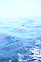 Similar image 10466659