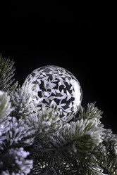 Similar image 10466743