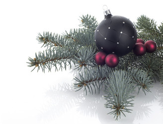 Similar image 10466784