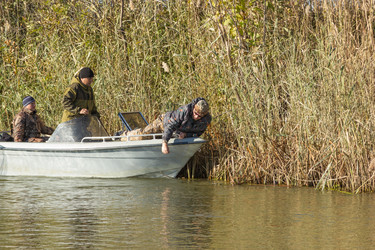 Similar image 10467049