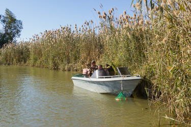 Similar image 10467057