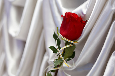 Similar image 10467115