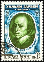 Similar image 10467234