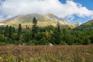 Similar image 10467438