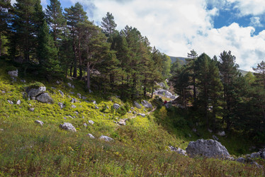 Similar image 10467450