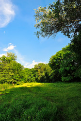 Similar image 10467504