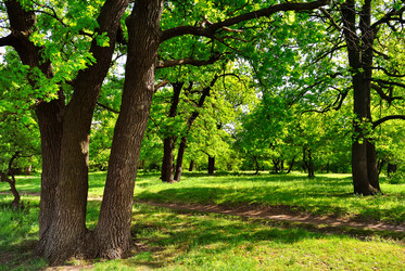 Similar image 10467506