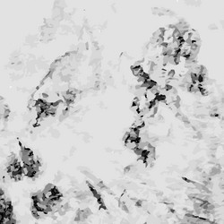 Similar image 10467573