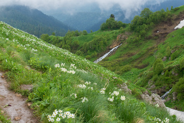 Similar image 10467616