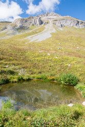 Similar image 10467658