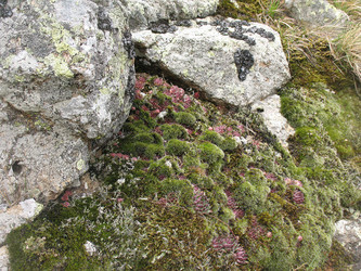 Similar image 10467894