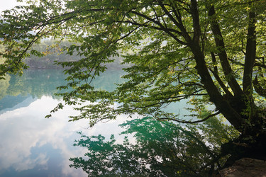 Similar image 10468058