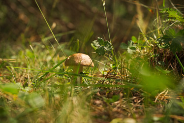 Similar image 10468076